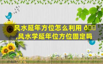 风水延年方位怎么利用 🐠 ,风水学延年位方位固定吗